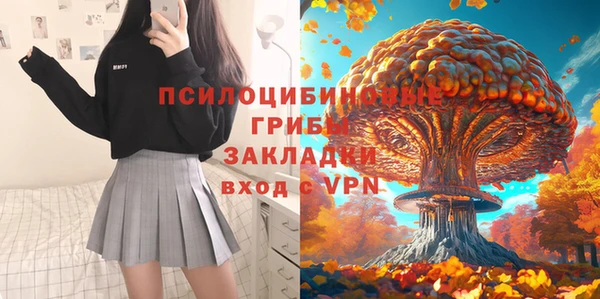 метамфетамин Алексеевка