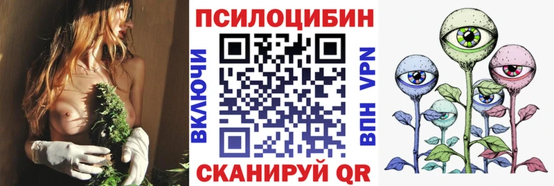 Псилоцибиновые грибы прущие грибы  Сельцо 